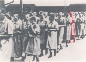 Éva in Ausschwitz, kahlgeschoren und in Häftlingskleidung